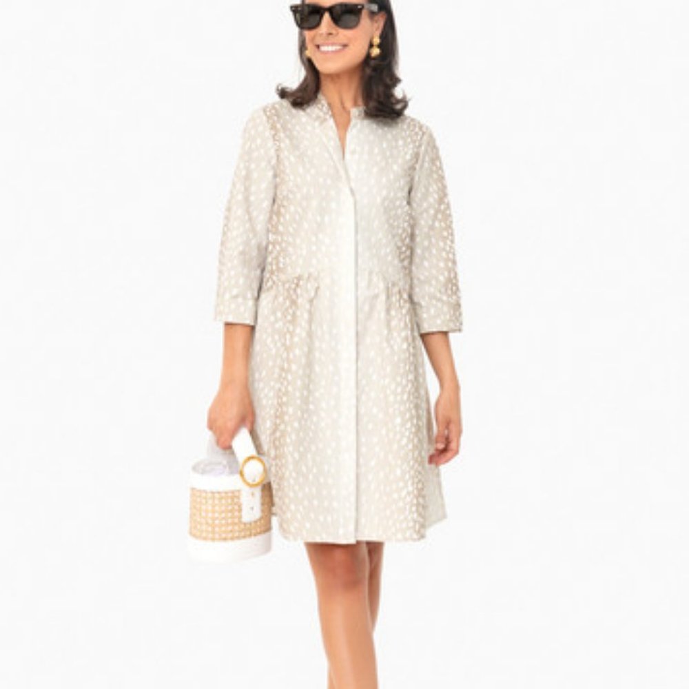 Antelope Royal Shirt Dress TUCKERNUCK